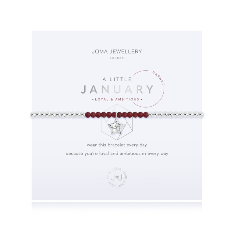 'January' A Little Birthstone Bracelet
