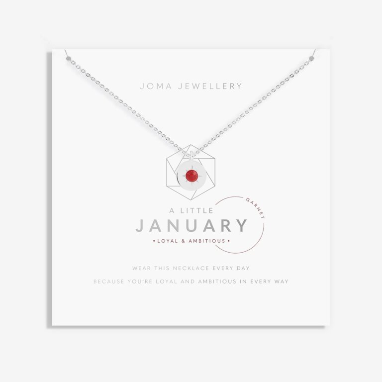 'January' A Little Birthstone Necklace
