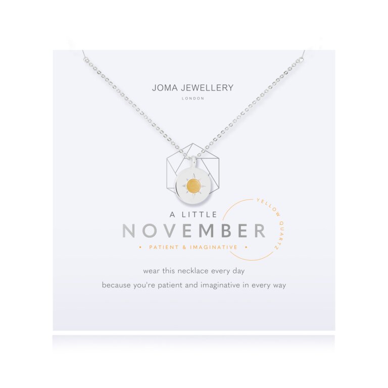 November A Little Birthstone Necklace