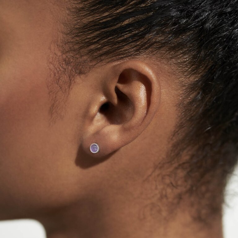 February 'Amethyst' Birthstone Boxed Earrings