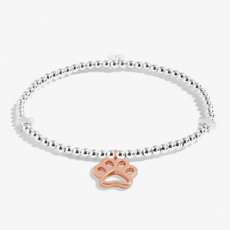 A Little 'Have A Pawfect Birthday' Bracelet
