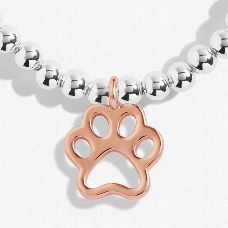 A Little 'Have A Pawfect Birthday' Bracelet