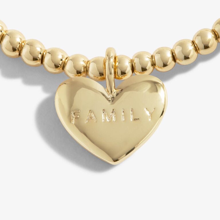 Gold A Little 'Forever Family' Bracelet