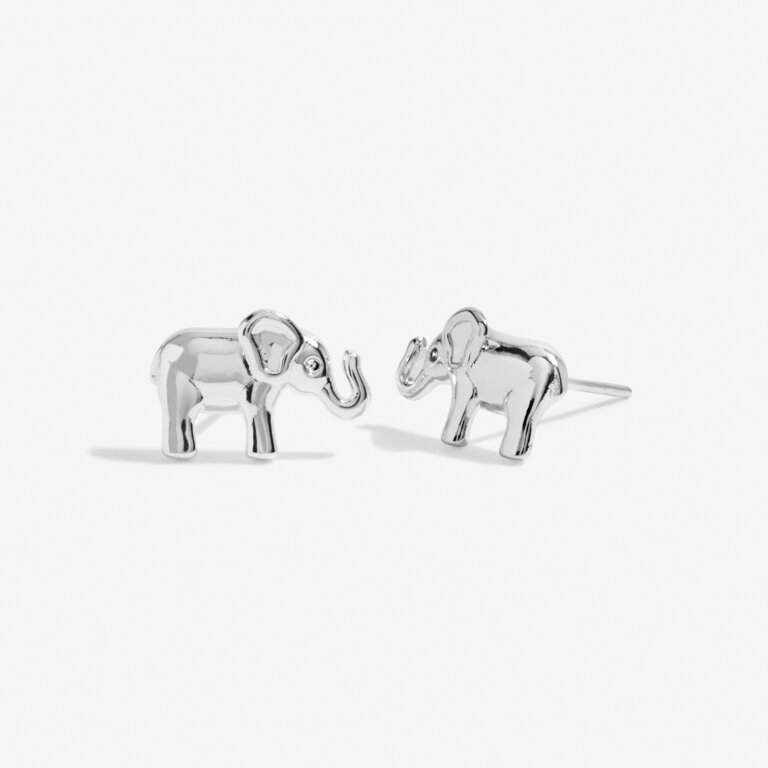 Beautifully Boxed 'Lucky Elephant' Earrings