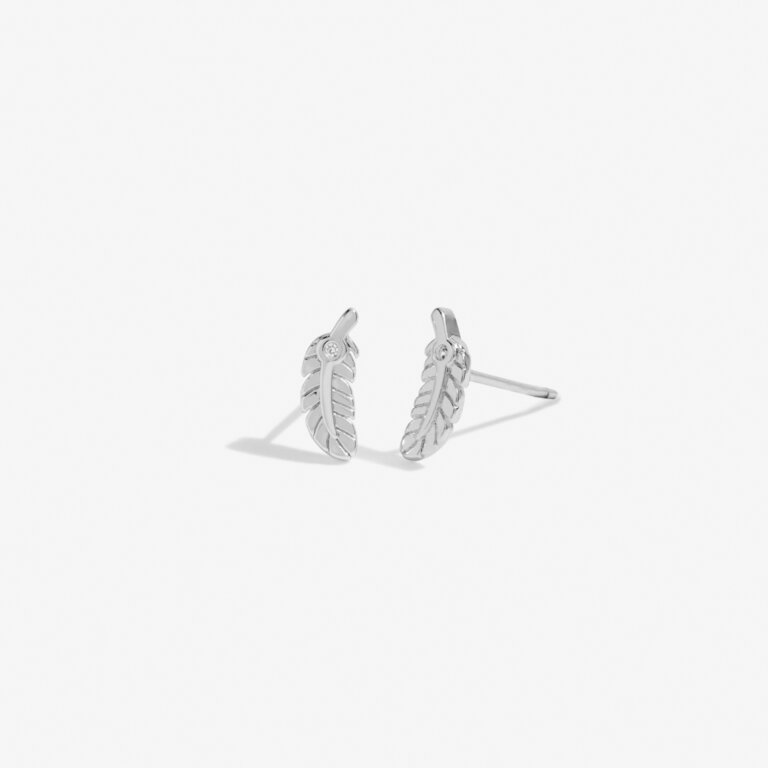 Beautifully Boxed 'Feathers Appear When Loved Ones Are Near' Earrings