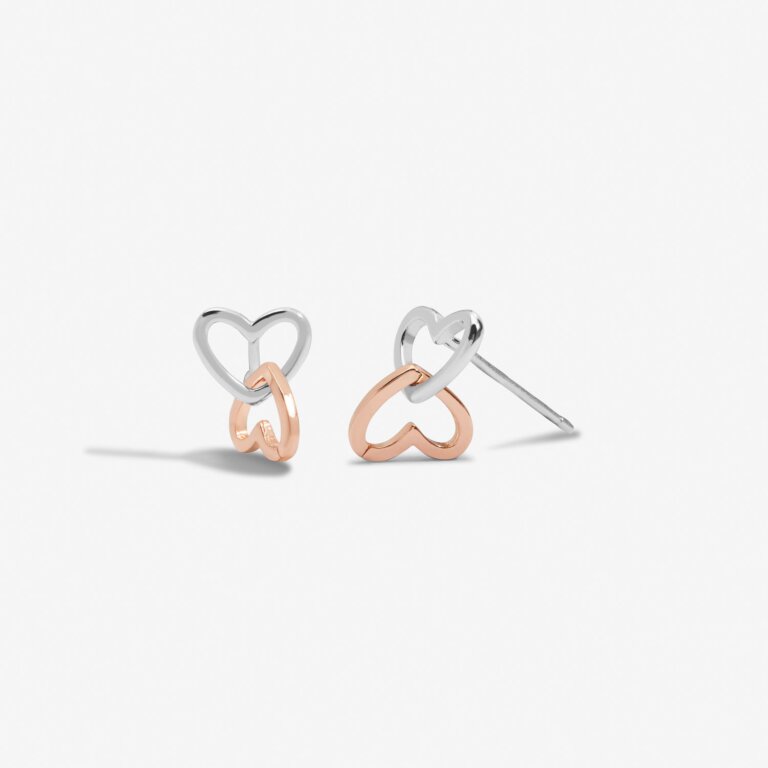Forever Yours 'Fabulous Friend' Earrings In Silver Plating And Rose Gold Plating