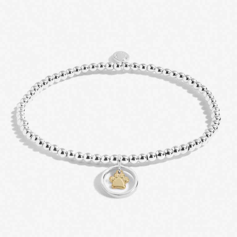 Boxed A Little 'Pets Leave Pawprints On Our Hearts' Bracelet In Silver Plating And Gold Plating