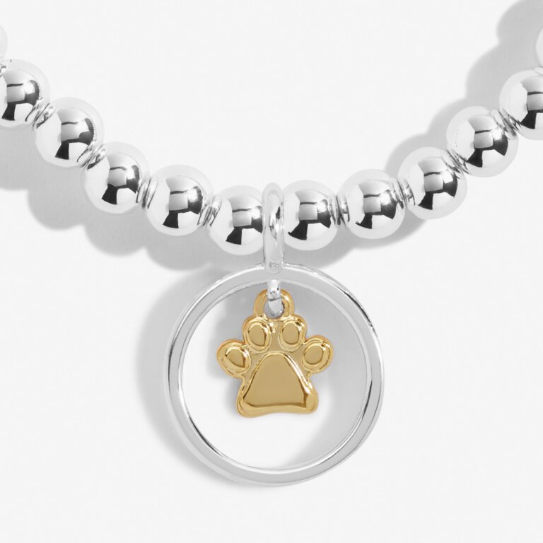 Boxed A Little 'Pets Leave Pawprints On Our Hearts' Bracelet In Silver Plating And Gold Plating