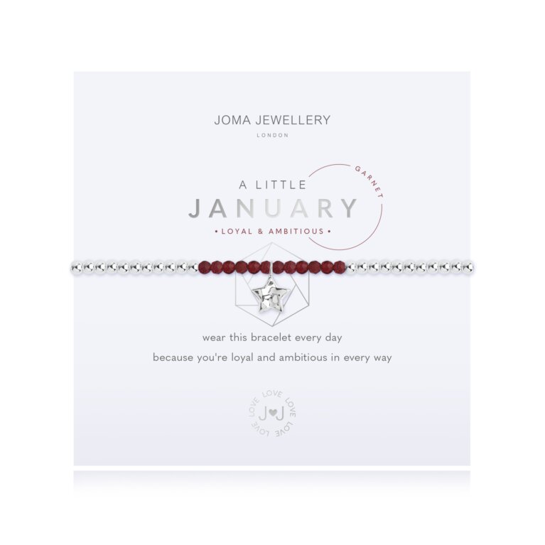 'January' A Little Birthstone Bracelet