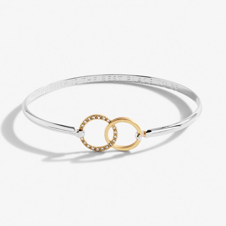 Bracelet Bar Silver And Gold Circle