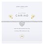 A Little 'Cariad' Welsh Bracelet