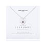 February A Little Birthstone Necklace