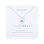 'December' A Little Birthstone Necklace